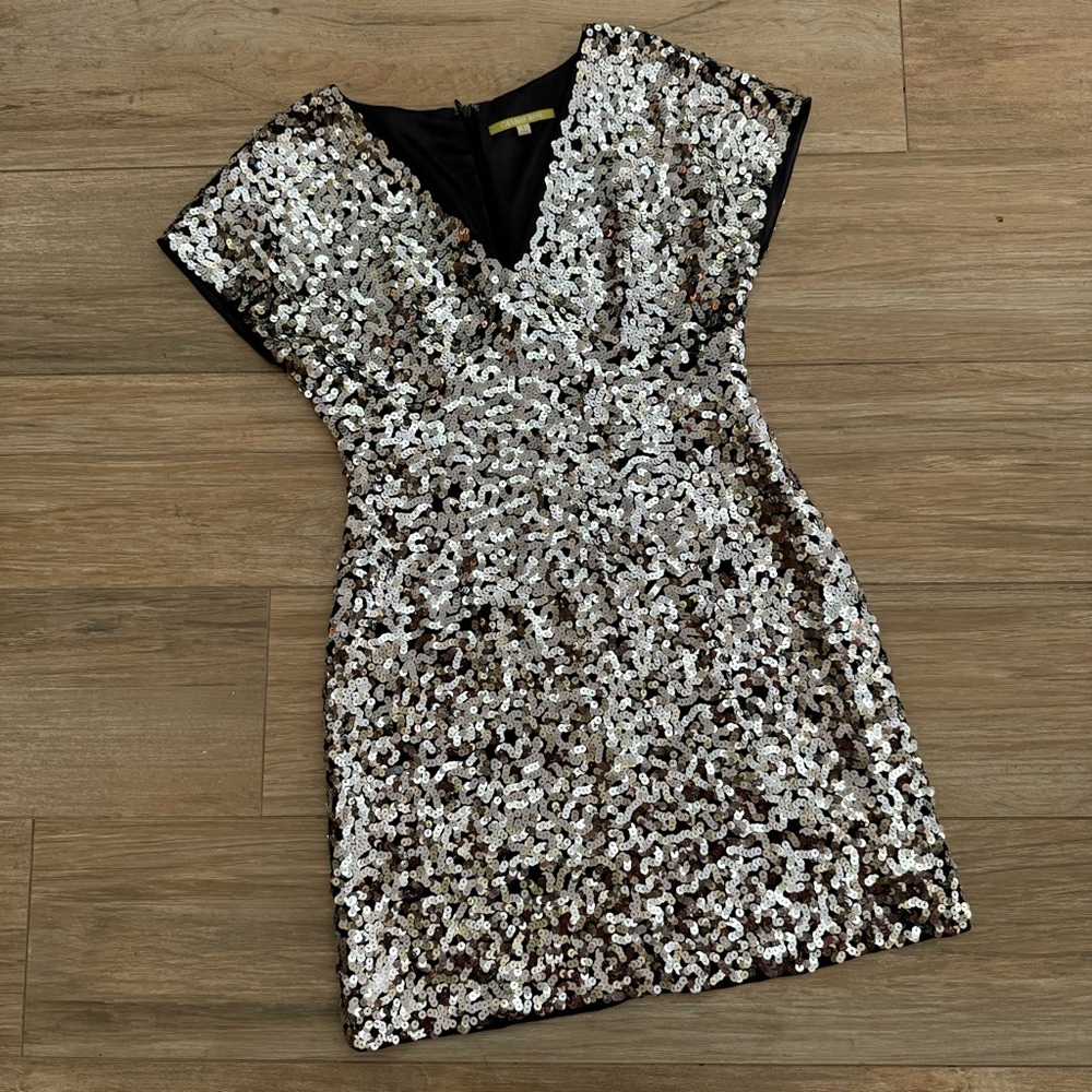 Gianni Bini Silver Sequin Dress Size 6
